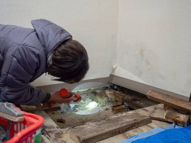 Best Mold Prevention Services  in Baiting Hollow, NY