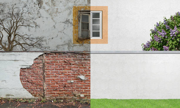 Best Water Damage & Mold Remediation  in Baiting Hollow, NY
