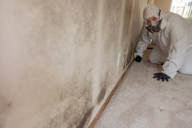 Best Biohazard Mold Removal  in Baiting Hollow, NY