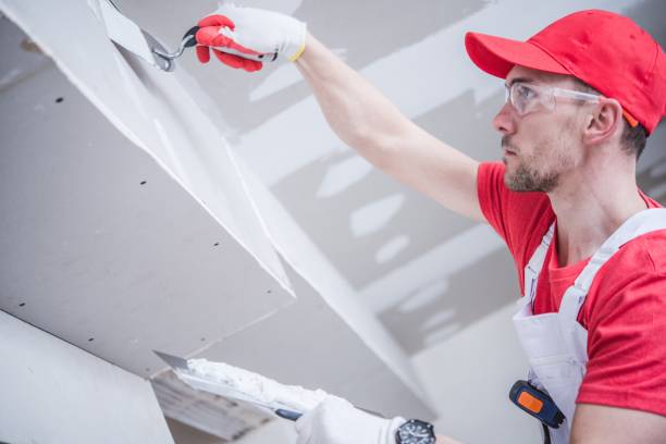 Best Real Estate Mold Inspection  in Baiting Hollow, NY